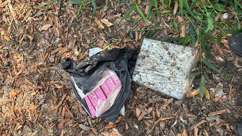 Cães farejadores encontram 14 barras de maconha enterradas em lote no São Geraldo