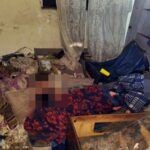 Gêmeos de 3 anos são resgatados sozinhos em meio a lixo e até fezes em apartamento