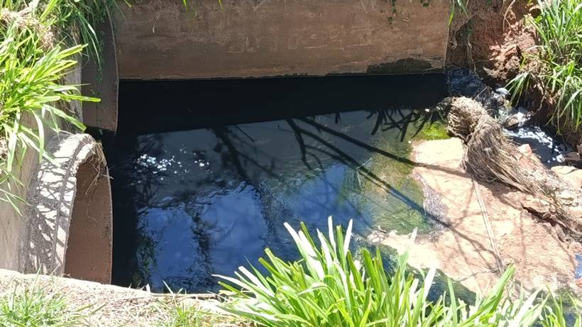 Denúncia: Despejo de esgoto em córrego prejudica saúde pública e vida animal