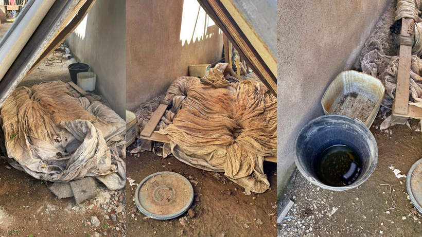 Cadela é resgatada em meio a fezes e sem comida e água na zona rural / Foto: Vereador Israel Russo 