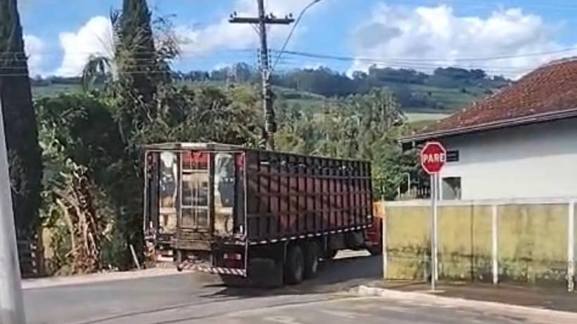 Dupla é presa por tentativa de estelionato em negociação de gado em Jacutinga