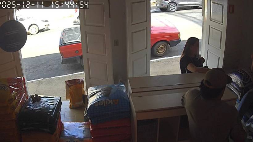 Dupla é presa por tentativa de estelionato em negociação de gado em Jacutinga