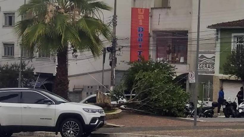 Ventos de até 73km/h atingem Pouso Alegre e derruba árvore na praça do Santuário
