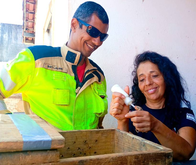 Filhotes de gambá são resgatados pelos bombeiros após mãe morrer em atropelamento