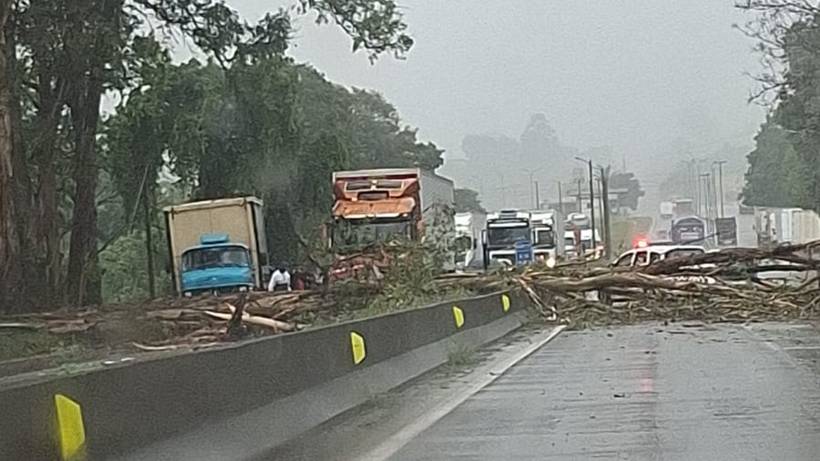 Árvore cai sobre carro na Fernão Dias e deixa quatro pessoas feridas