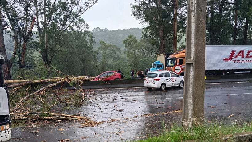 Árvore cai sobre carro na Fernão Dias e deixa quatro pessoas feridas