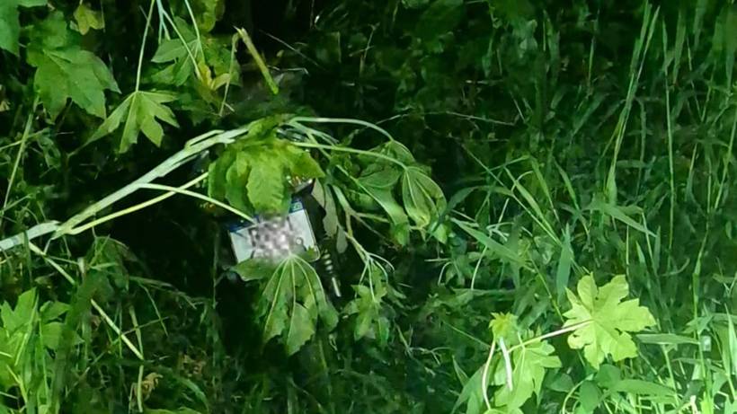 Mulher é morta em casa em Pouso Alegre: Marido é preso após tentar simular latrocínio