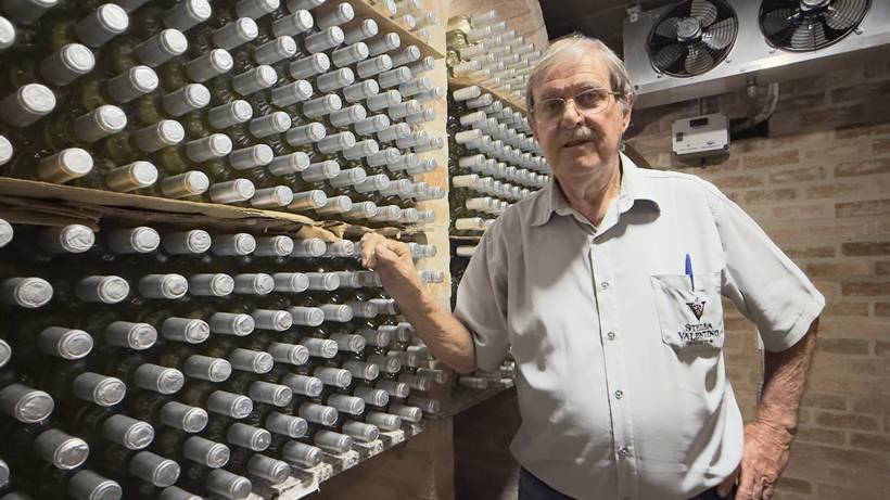 Vinícola no Sul de Minas transforma tradição, ciência e mercado em negócio sustentável