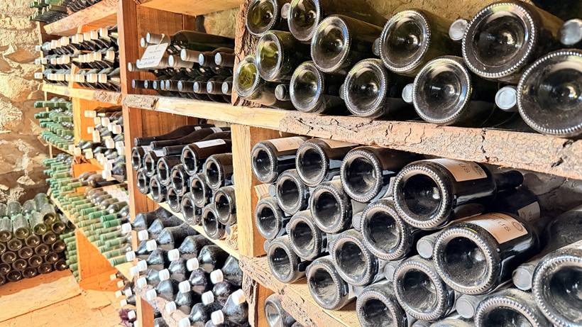 Vinícola no Sul de Minas transforma tradição, ciência e mercado em negócio sustentável