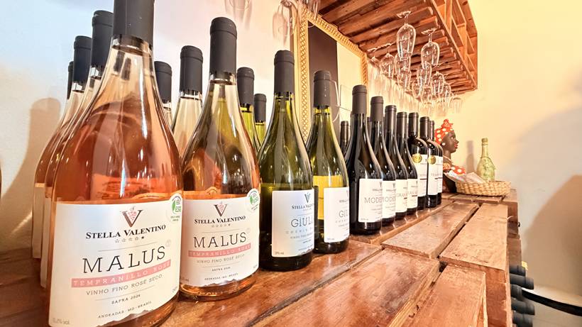 Vinícola no Sul de Minas transforma tradição, ciência e mercado em negócio sustentável