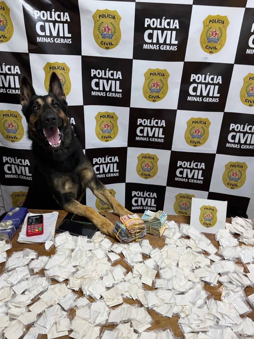 Polícia cumpre mandado de busca e apreende mais de 800 papelotes de cocaína em Extrema