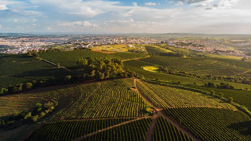 Café mineiro avança para ser reconhecido como paisagem cultural do estado de MG