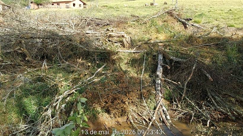 Homens são presos em flagrante enquanto cortavam árvores nativas em área de preservação