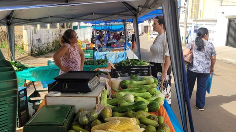 Feiras de culturas rurais e de agricultura familiar se reinventam no Sul de Minas e se tornam símbolos da resistência do território rural