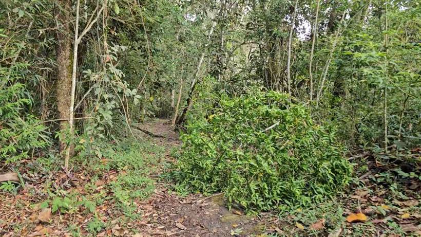 Horto está em obras há dois anos e Prefeitura dá novo prazo para entrega