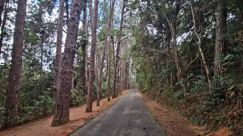 Horto está em obras há dois anos e Prefeitura dá novo prazo para entrega