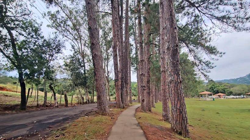 Horto está em obras há dois anos e Prefeitura dá novo prazo para entrega