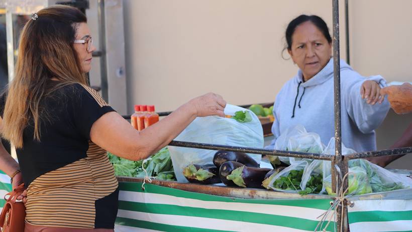 Feiras de culturas rurais e de agricultura familiar se reinventam no Sul de Minas e se tornam símbolos da resistência do território rural
