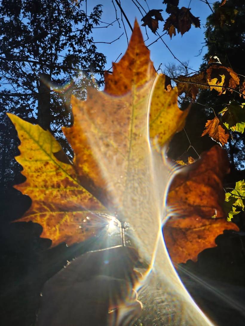 Geada cobre Monte Verde após temperatura chegar a 0,4°C