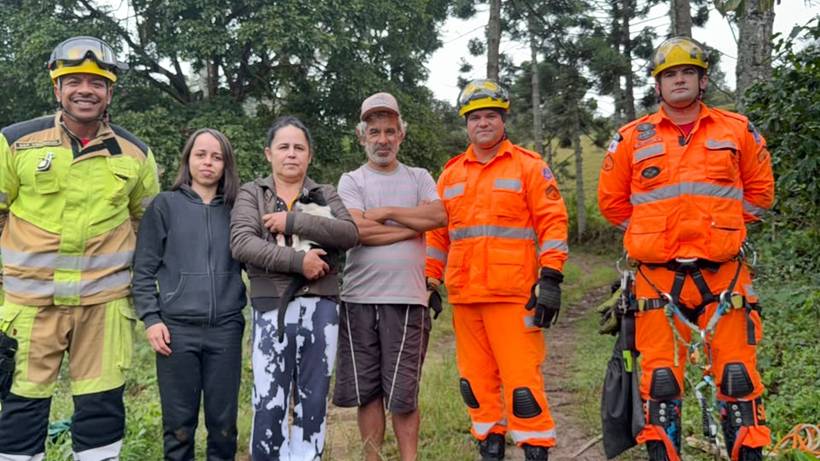 Bombeiros resgatam gato preso a mais de 20 metros de altura em araucária