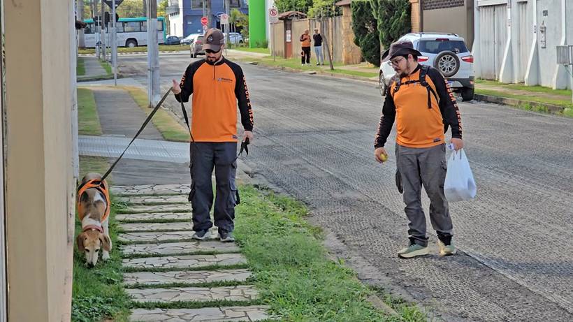 Família recorre à tecnologia e equipe especializada para encontrar gata desaparecida