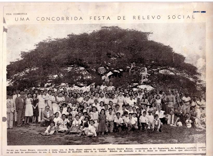Copaíba de 200 anos, patrimônio histórico e símbolo do bairro Árvore Grande, inspira livro infantil