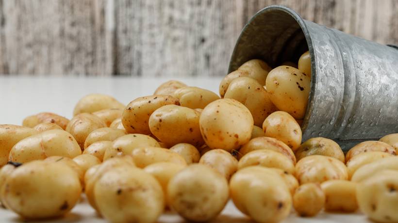 Encontro reúne cadeia produtiva e comercial da batata em Pouso Alegre