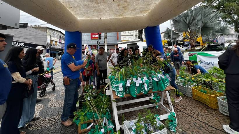 Pouso Alegre distribui 1,6 mil mudas de árvores em ação pelo Dia da Árvore