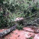 Tempestade causa estragos em Senador José Bento - Imagem - reprodução Flávio Pinto