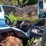 Jovem morre após carro bater em árvore na BR-459, em Congonhal - Foto reprodução redes sociais