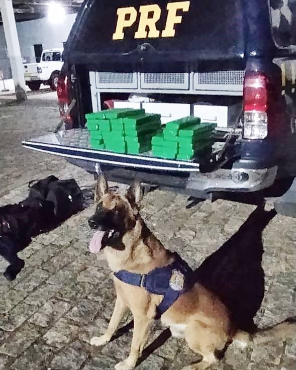 Dois homens são presos transportando drogas em ônibus na Fernão Dias. Foto: PRF