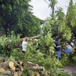 Temporal derruba árvores, trava semáforos e destelha PAM em Ouro Fino