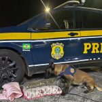 Mulher é presa com maconha escondida em travesseiro na Fernão Dias