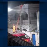 Maritaca presa em linha de pipa precisou ser resgatada em Pouso Alegre