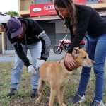 Saiba os locais do 4º sábado de vacinação antirrábica em Pouso Alegre