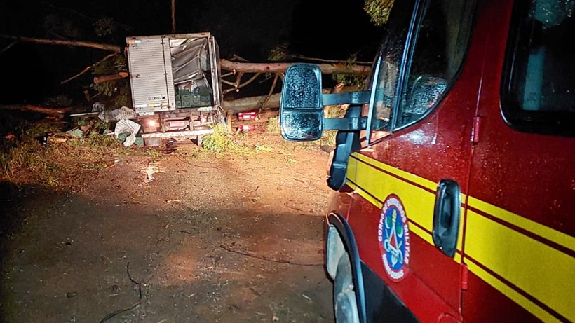 Eucalipto cai em caminhão durante chuva na zona rural de Pouso Alegre