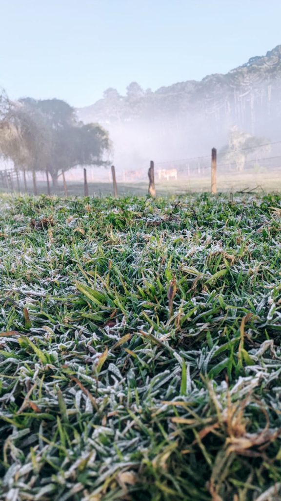 Inverno começa neste dia 20 de junho e Monte Verde já registra geada / Nelson Pacheco