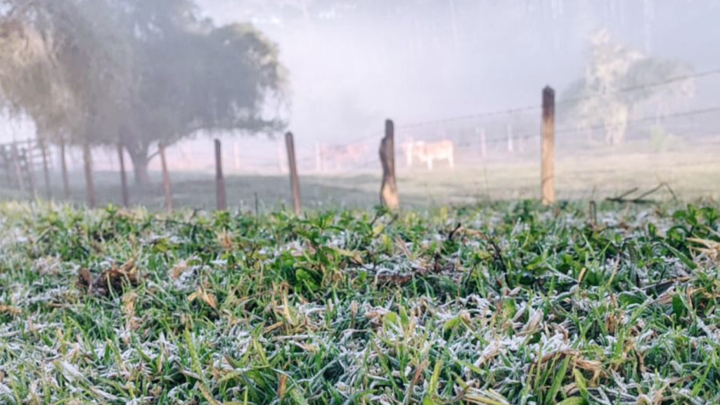 Inverno começa neste dia 20 de junho e Monte Verde já registra geada