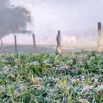 Inverno começa neste dia 20 de junho e Monte Verde já registra geada