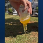 PL quer proibir consumo de bebidas alcóolicas em ruas e espaços públicos de Pouso Alegre