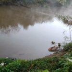 Mula é resgatada exausta e após ficar atolada às margens do Rio Sapucaí