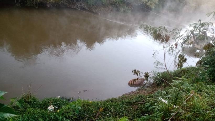 Mula é resgatada exausta e após ficar atolada às margens do Rio Sapucaí