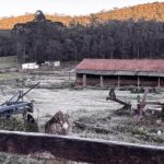 Maria da Fé amanhece com geada e temperatura negativa na zona rural