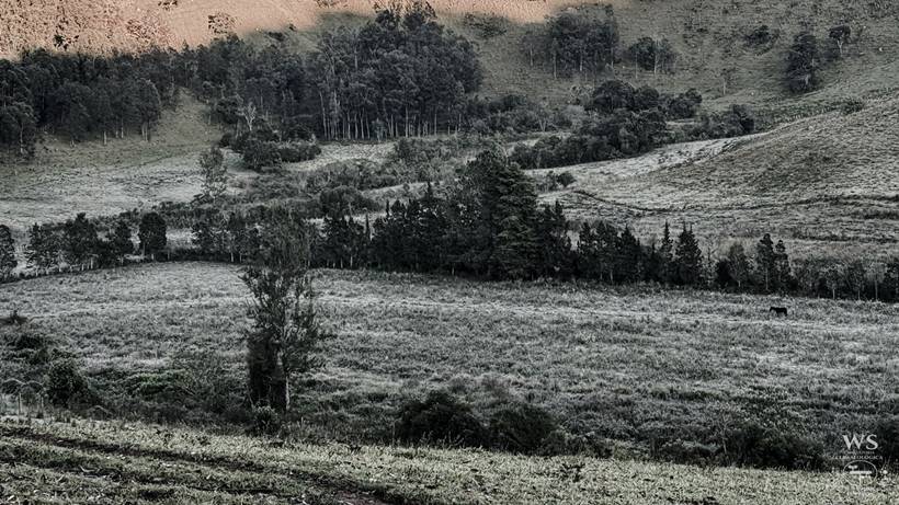 Maria da Fé amanhece com geada e temperatura negativa na zona rural