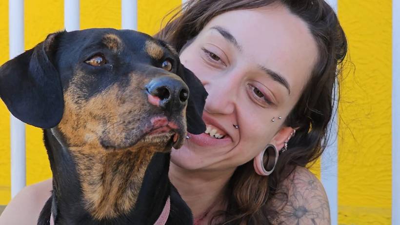 Cadela é localizada após desaparecer em acidente na Fernão Dias e tem reencontro emocionante com tutora