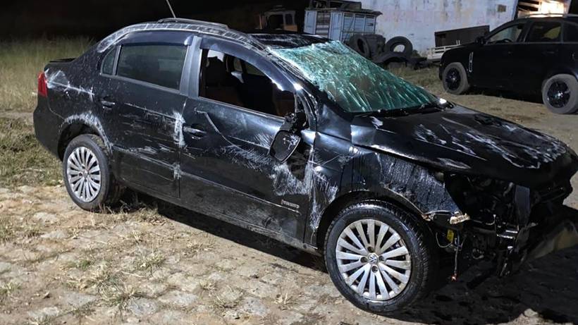 Tutora pede ajuda para localizar cadela que sumiu em acidente na Fernão Dias