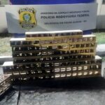 Apreensão de trinca-ferros: Homem recolheu pássaros em Machado e venderia em SP