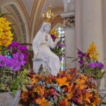 Imaculado Coração de Maria - Santuário de Pouso Alegre / Foto: Magson Gomes