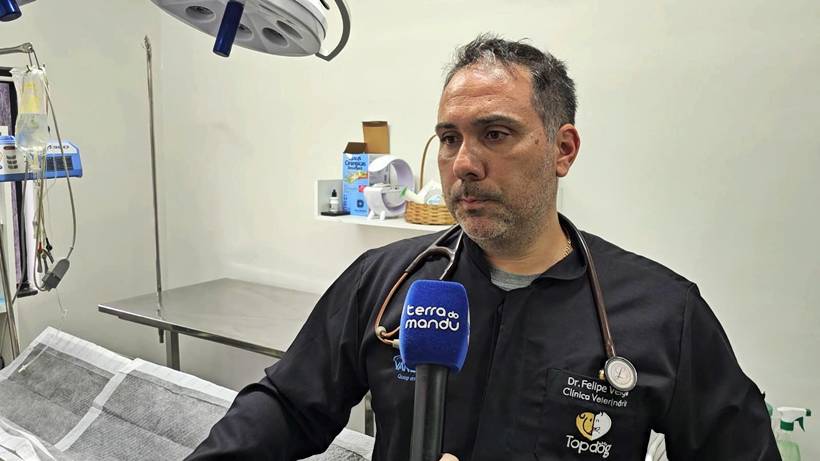 Cão é atropelado e pessoas denunciam que motorista fugiu e fiscais de trânsito foram omissos