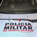 Homem de 72 anos alegou acidente, que ele teria atirado quando viu algo em seu galinheiro, achando ser uma "raposa". Ele foi preso em flagrante.